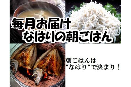 31ti474h なはりの朝ごはんセット(味噌900g、シラス500g、旬の干物4枚 年間12回発送)