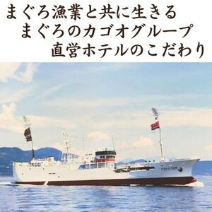 104008　天然鮪まぐろ節