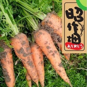 106006　土付きにんじん　2㎏