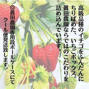110003　高級品種3色いちごBOX（※12月下旬～4月末頃発送）