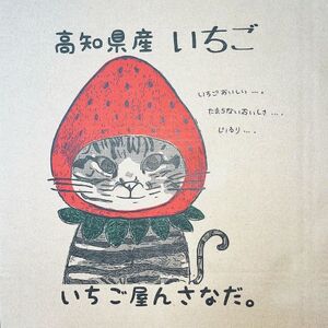 110003　高級品種3色いちごBOX（※12月下旬～4月末頃発送）