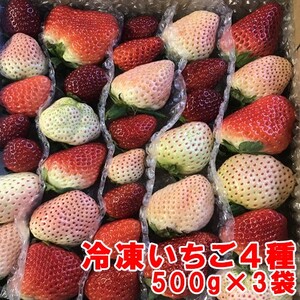 110006　冷凍いちご4種　500ｇ×3袋