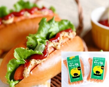 112013　ジューシーとんかつ＆ゆず豚100％ソーセージ