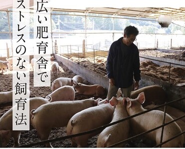 112013　ジューシーとんかつ＆ゆず豚100％ソーセージ