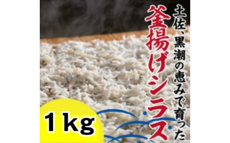31fi029bh 釜揚げシラス 1kg