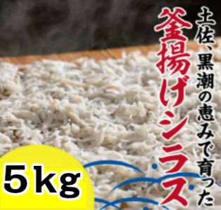 31fi032bh 釜揚げシラス 5kg