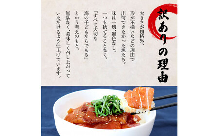 これが魚屋の漬け丼だ！～マグロ～ 《訳あり》 ８０ｇ×１０P 