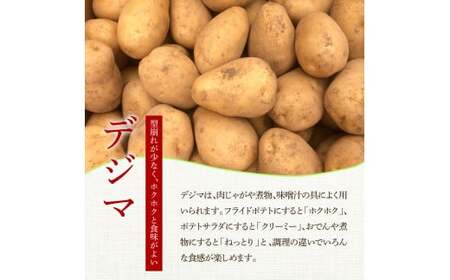 ★先行受付：2024年5月発送開始★大野台地で採れた 令和6年産新じゃがいも『デジマ』5kg 訳あり品 5キロ イモ ジャガイモ 芋 いも ポテト 野菜 おいしい 旬 国産 お取り寄せ 送料無料