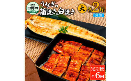 うなぎの蒲焼き(大)+白焼き(大) 各2尾×6回 定期便 6ヶ月 定期コース