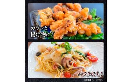 アオリイカ ゲソ 500g×4パック 2kg 