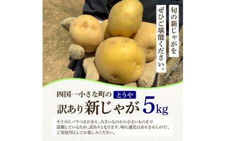 ふるさと納税】☆先行受付：2024年5月発送開始☆大野台地で採れた 令和 