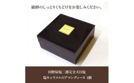 ★田野屋塩二郎完全天日塩★ 塩キャラメルのアマンディーヌ（ホール約12cm）×1ホール
