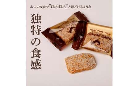 ★田野屋塩二郎完全天日塩★ アーモンドサブレ・ブリック 15個入り