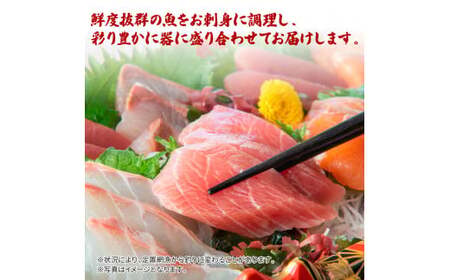 土佐のお刺身盛り合わせ 3～4人前程度 朝獲れ