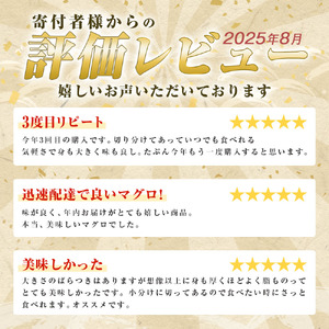 天然マグロ切り落とし 2kg