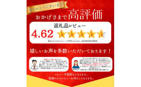  ★訳あり★ 高知県産カツオのわら焼きタタキ（自家製タレ付）1kg 3ヶ月定期便