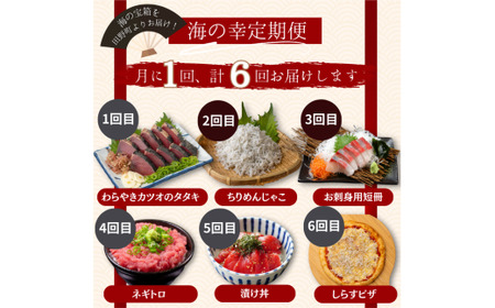 魚屋のうまいものづくし  6ヶ月定期便 （全6回）《カネアリ水産》