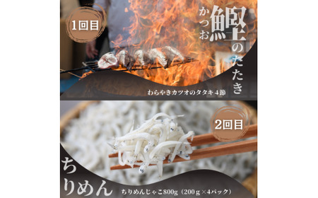魚屋のうまいものづくし  6ヶ月定期便 （全6回）《カネアリ水産》