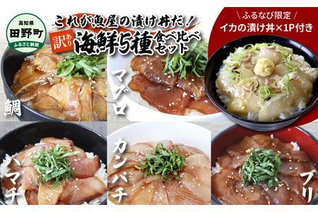 【ふるなび限定】数量限定 これが魚屋の漬け丼だ！海鮮5種食べ比べセット《訳あり》5種×2P+イカの漬け丼1P 合計11パック 各80g マグロ ハマチ 鯛 カンパチ ブリ いか 詰め合わせ 漬け丼 個包装 冷凍「FN-Limited」