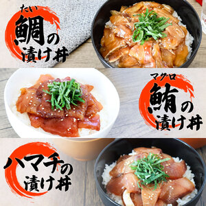 【ふるなび限定】数量限定 これが魚屋の漬け丼だ！海鮮5種食べ比べセット《訳あり》5種×2P+イカの漬け丼1P 合計11パック 各80g マグロ ハマチ 鯛 カンパチ ブリ いか 詰め合わせ 漬け丼 個包装 冷凍「FN-Limited」