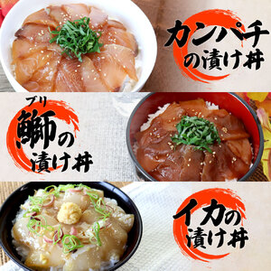 【ふるなび限定】数量限定 これが魚屋の漬け丼だ！海鮮5種食べ比べセット《訳あり》5種×2P+イカの漬け丼1P 合計11パック 各80g マグロ ハマチ 鯛 カンパチ ブリ いか 詰め合わせ 漬け丼 個包装 冷凍「FN-Limited」