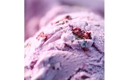 【四国一小さなまちのアイス屋さん】≪松崎冷菓≫大容量アイス 4000ml ★ブルーベリー★