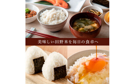 ★令和7年産 新米★四国一小さなまちの田野米  10kg（5kg×2袋）～精米・白米～