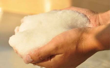 田野屋塩二郎の塩ごはん　4袋セット（無洗米）