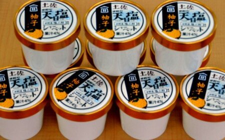 塩姫シャーベット 柚子 100ml×10個