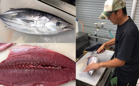 特選わら焼き鰹タタキの盛り付けセット（手間いらず）ヤマシン