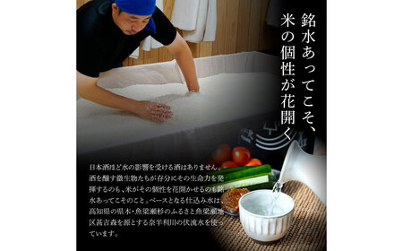 純米吟醸 純麗たまラベル&特別純米酒 美丈夫 720ml×2本