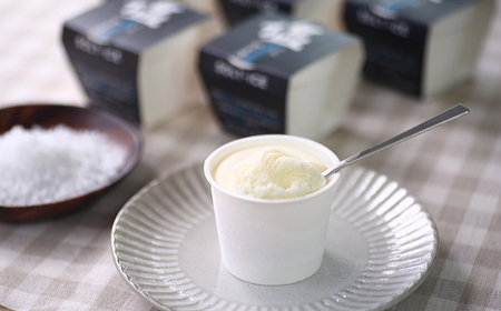 【四国一小さな町のアイス屋】土佐完全天日塩カップ6個入り