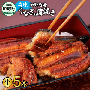 うなぎの蒲焼き（小） 5本 タレ付き 山椒付き