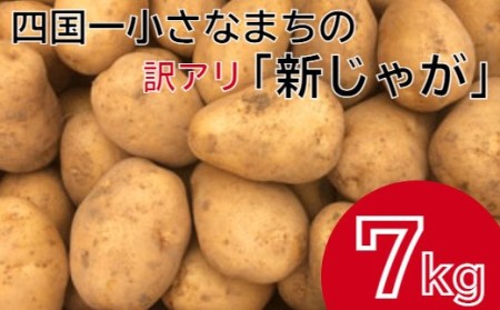 ≪先行予約受付中≫【四国一小さなまちのじゃがいも】大野台地で採れた『令和3年産新じゃが』7kg訳アリ品(令和3年5月中旬発送)