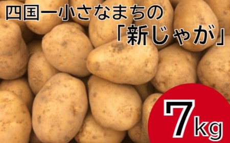 ≪先行予約受付中≫【四国一小さなまちのじゃがいも】大野台地で採れた『令和3年産新じゃが』7kg(令和3年5月中旬発送)