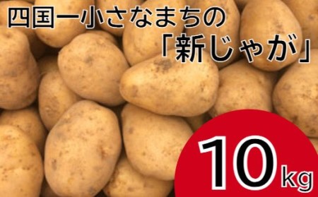 ≪先行予約受付中≫【四国一小さなまちのじゃがいも】大野台地で採れた『令和3年産新じゃが』10kg(令和3年5月中旬発送)