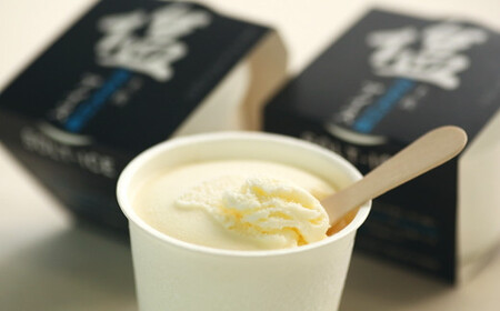 【四国一小さなまち】松崎冷菓の贅沢アイスセット〈梅〉