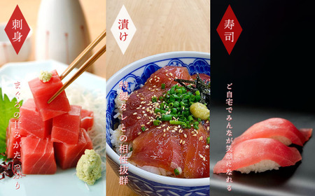 まぐろづくし 食べ比べセット  ≪ヤマシン≫  