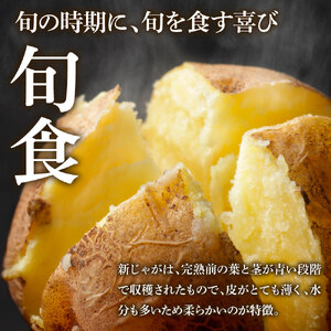 ★先行受付:2026年5月発送開始★令和8年産 新じゃがいも 訳あり『デジマ』10kg