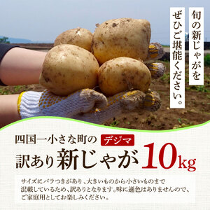 ★先行受付:2026年5月発送開始★令和8年産 新じゃがいも 訳あり『デジマ』10kg