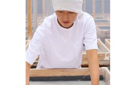 塩職人 田野屋青蜂 完全天日塩 ★ ４種類から選べる ★ ３個セット 