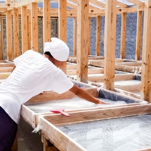 塩職人 田野屋青蜂　完全天日塩中粒 3袋セット 