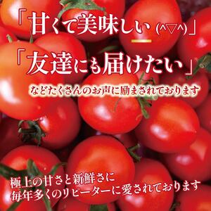 新鮮トマト1kg 【安田町産】| トマト TR-03