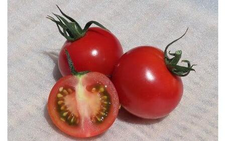 安田町産 完全天日塩 新鮮トマト セット