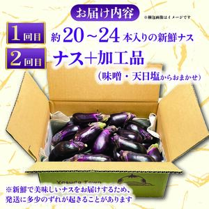 ナス 定期便 計約50本 | ナス TR-2000