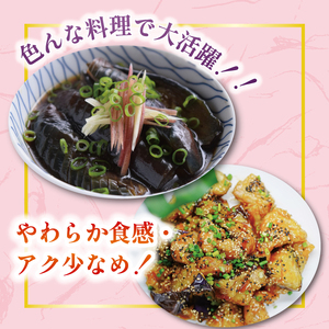 朝どれナス 約20本  | ナス TR-0006