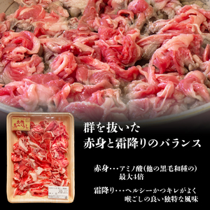 【土佐あかうし】国産和牛 切り落とし 600g 牛肉 すきやき（すき焼き）しゃぶしゃぶ 鍋 ローストビーフ 高知県安田町 | 肉 MT-01