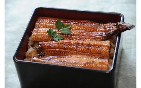 【海鮮セット】国産うなぎ蒲焼き 2尾 海鮮 | 高知県安田町 YK-01 