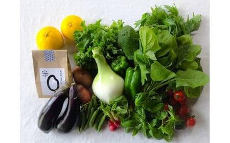 お米2合 野菜8~10品目セット 米 2合 野菜 8-10品 セット 詰め合わせ お米 300g 白米 ヒノヒカリ 採れたて 家計応援 家族 一人暮らし おかず 果物 やさい フルーツ 使い切り トマト なす ブランド米 精米 高知県 安田町 MR-01