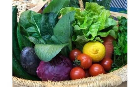 お米2合 野菜8~10品目セット 米 2合 野菜 8-10品 セット 詰め合わせ お米 300g 白米 ヒノヒカリ 採れたて 家計応援 家族 一人暮らし おかず 果物 やさい フルーツ 使い切り トマト なす ブランド米 精米 高知県 安田町 MR-01